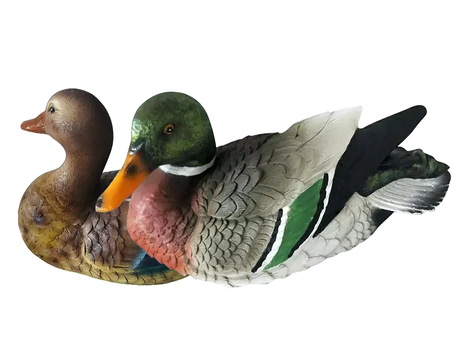 Terrasse und Outdoor